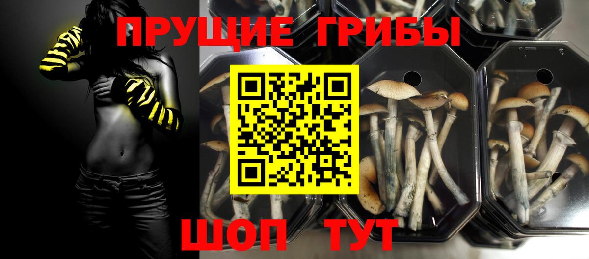 Киселёвск  Псилоцибиновые грибы мухоморы  Галлюциногенные грибы GOLDEN TEACHER  Вход с VPN 